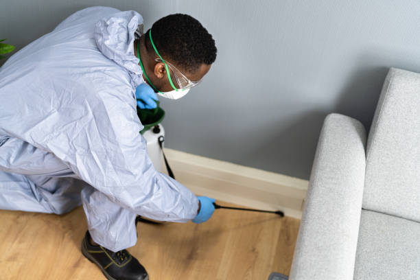 Best Real Estate Pest Inspections  in Ester, AK